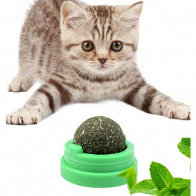 CAT S WAY Лакомство для кошек (витаминные-мятные лизуны), шт